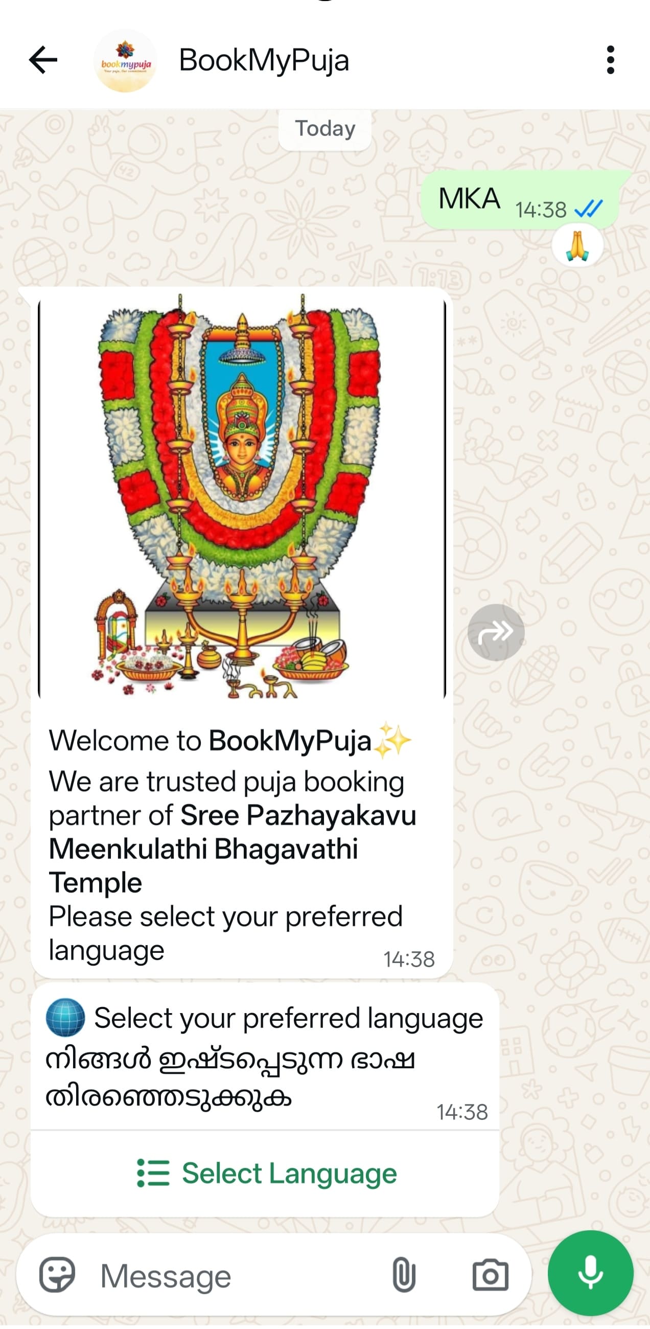 WhatsApp booking interface — step 1